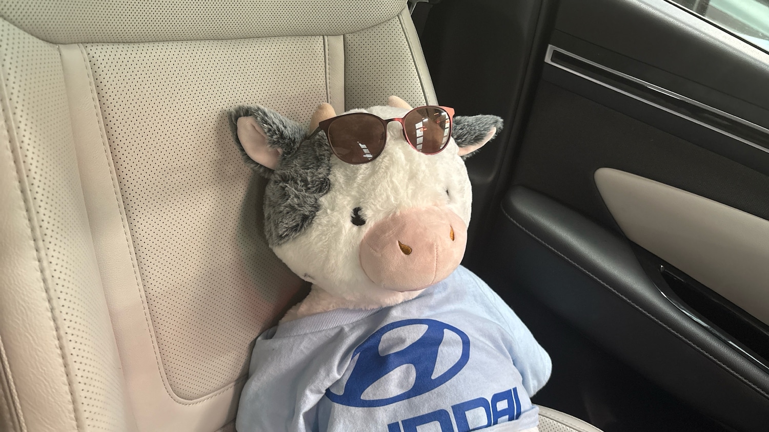 Used Hyundai TUCSON 2022 for sale - 76808030: Photo 31