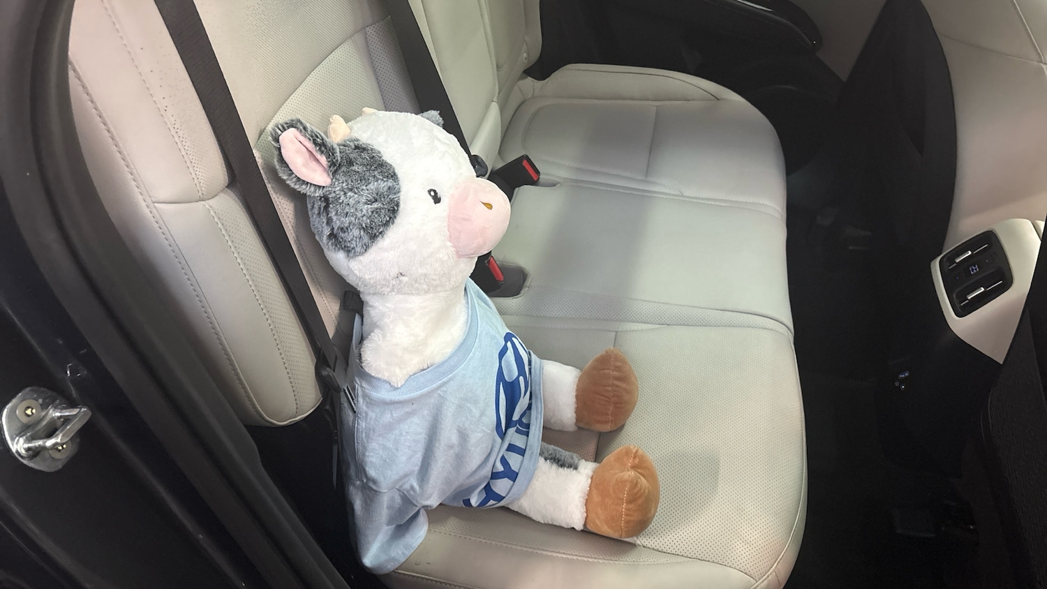 Used Hyundai TUCSON 2022 for sale - 76808030: Photo 32