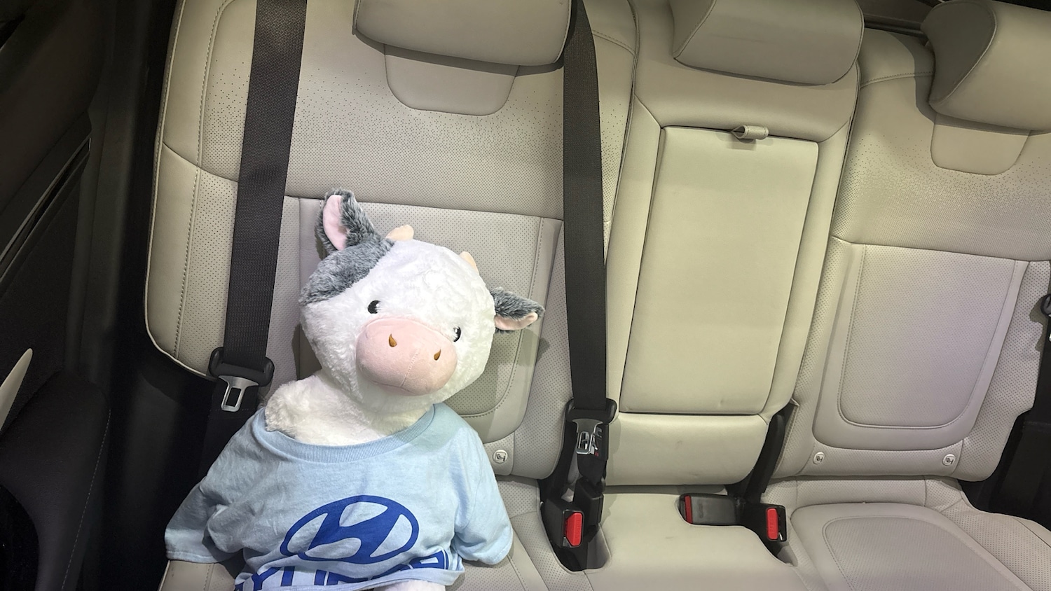 Used Hyundai TUCSON 2022 for sale - 76808030: Photo 37