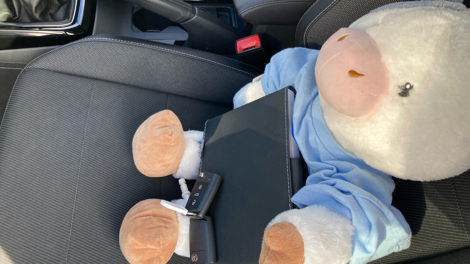 Used Volkswagen T-Cross 2023 for sale - 76322463: Photo 19