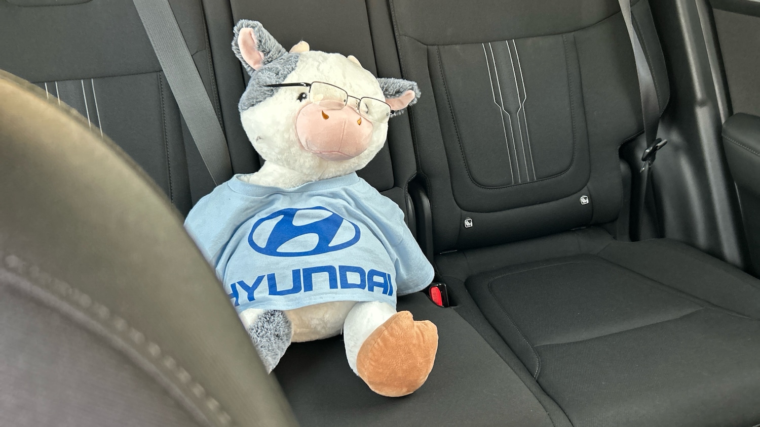 Used Hyundai TUCSON 2022 for sale - 76905961: Photo 42