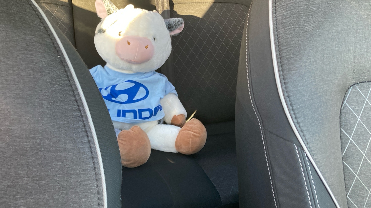 Used Ford Fiesta 2018 for sale - 76322461: Photo 32