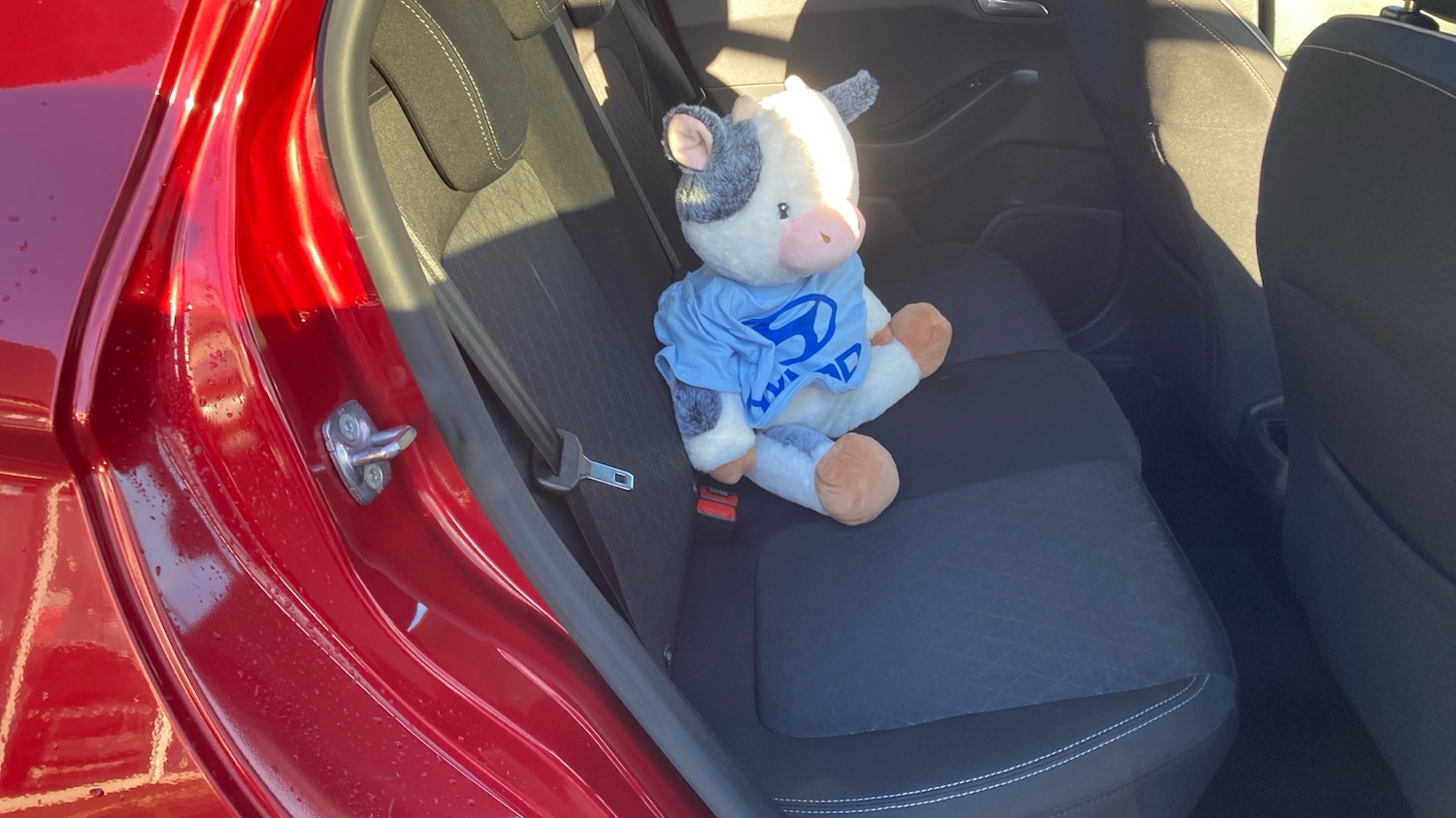 Used Ford Fiesta 2018 for sale - 76322461: Photo 43