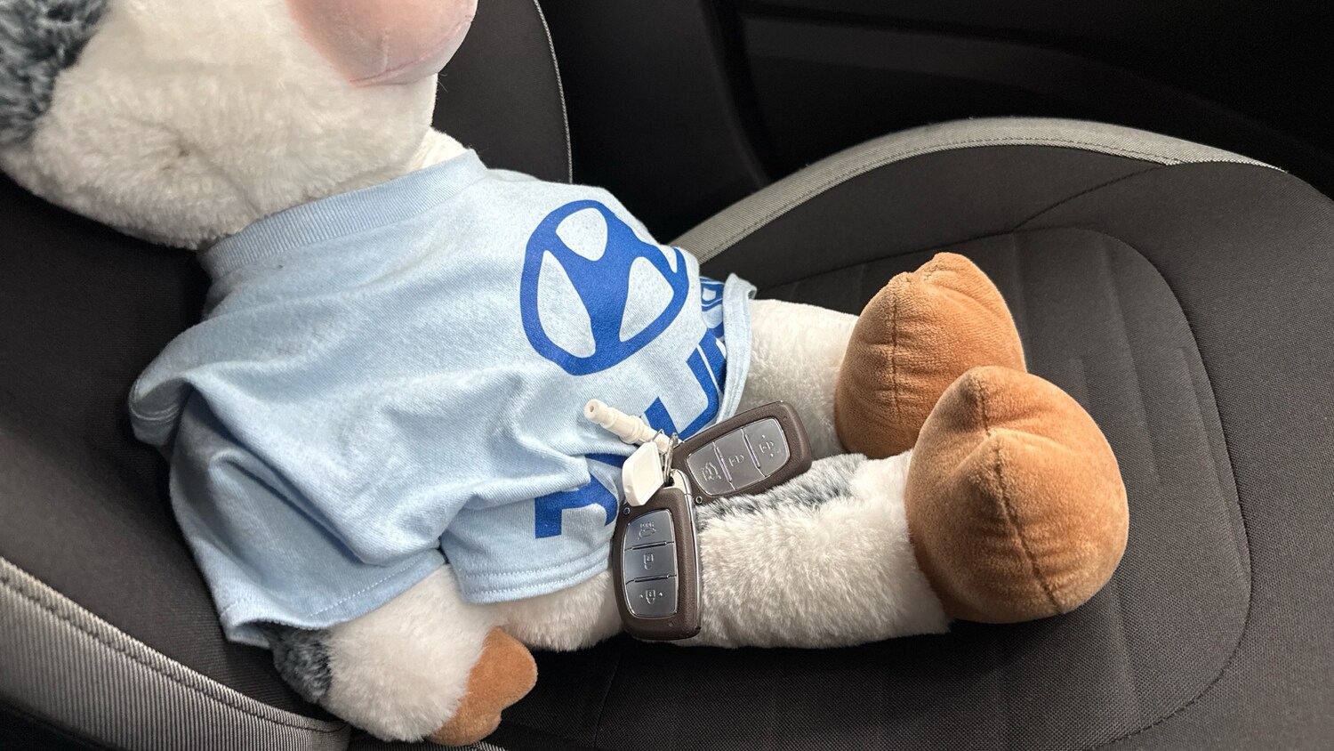 Used Hyundai i10 2023 for sale - 77962180: Photo 19