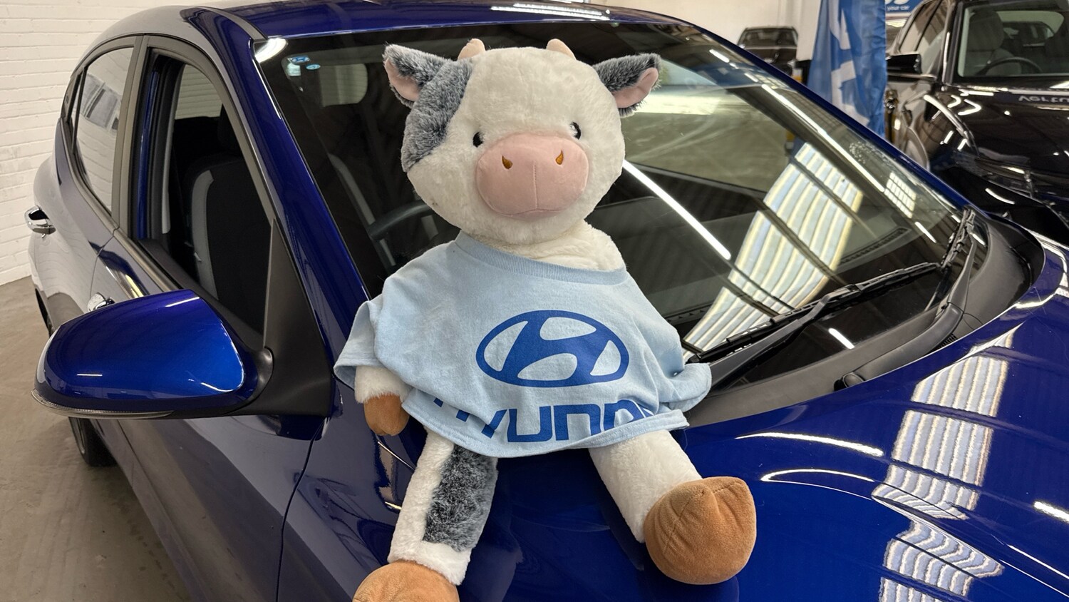 Used Hyundai i10 2023 for sale - 77962180: Photo 42