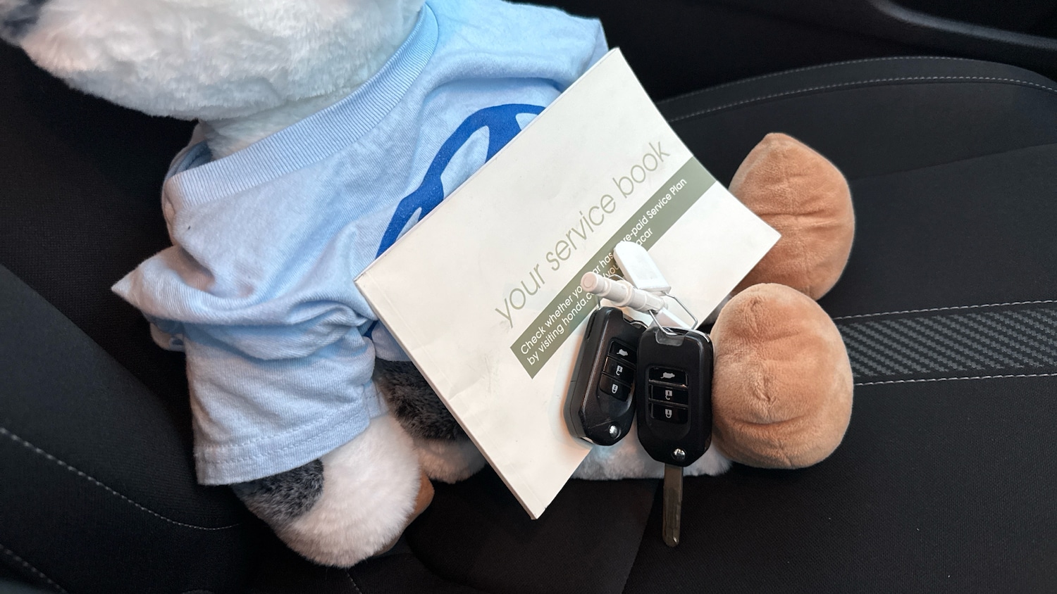 Used Honda Civic 2019 for sale - 76332027: Photo 20