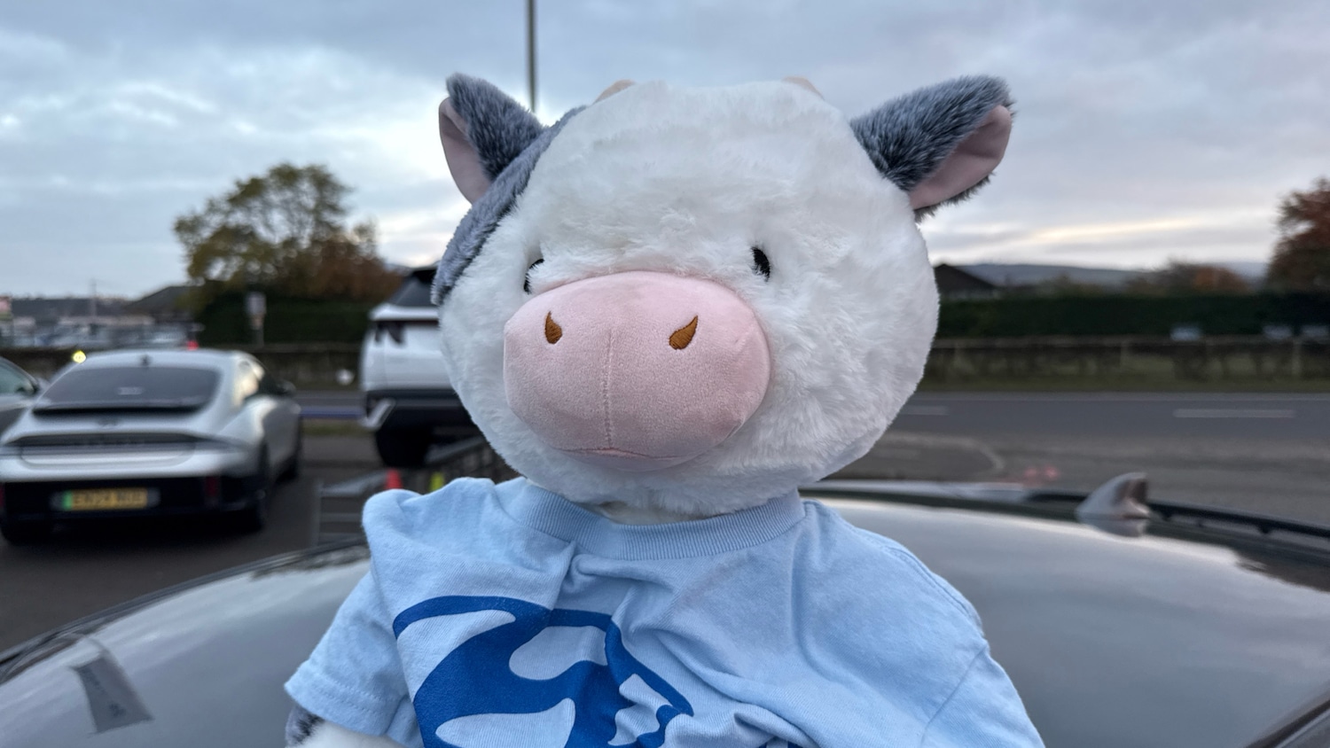 Used Honda Civic 2019 for sale - 76332027: Photo 36