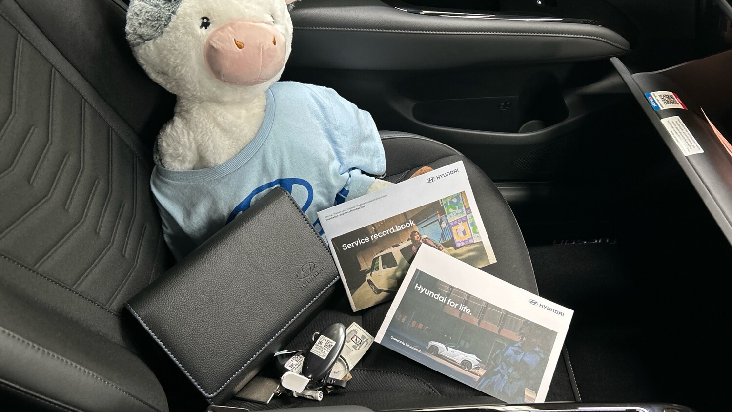 Used Hyundai TUCSON 2025 for sale - 77581950: Photo 19