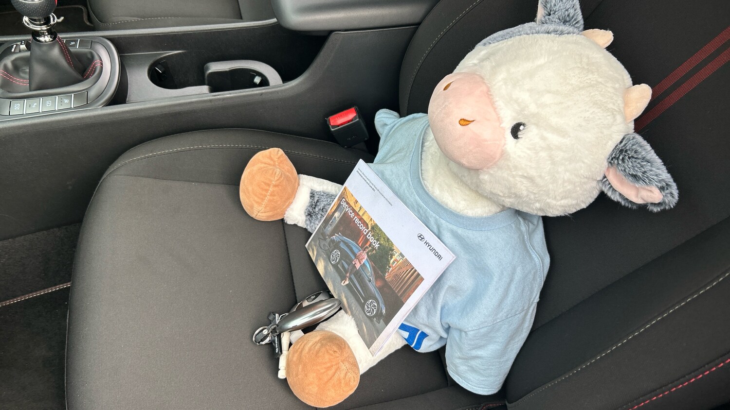 Used Hyundai KONA 2024 for sale - 77760494: Photo 19