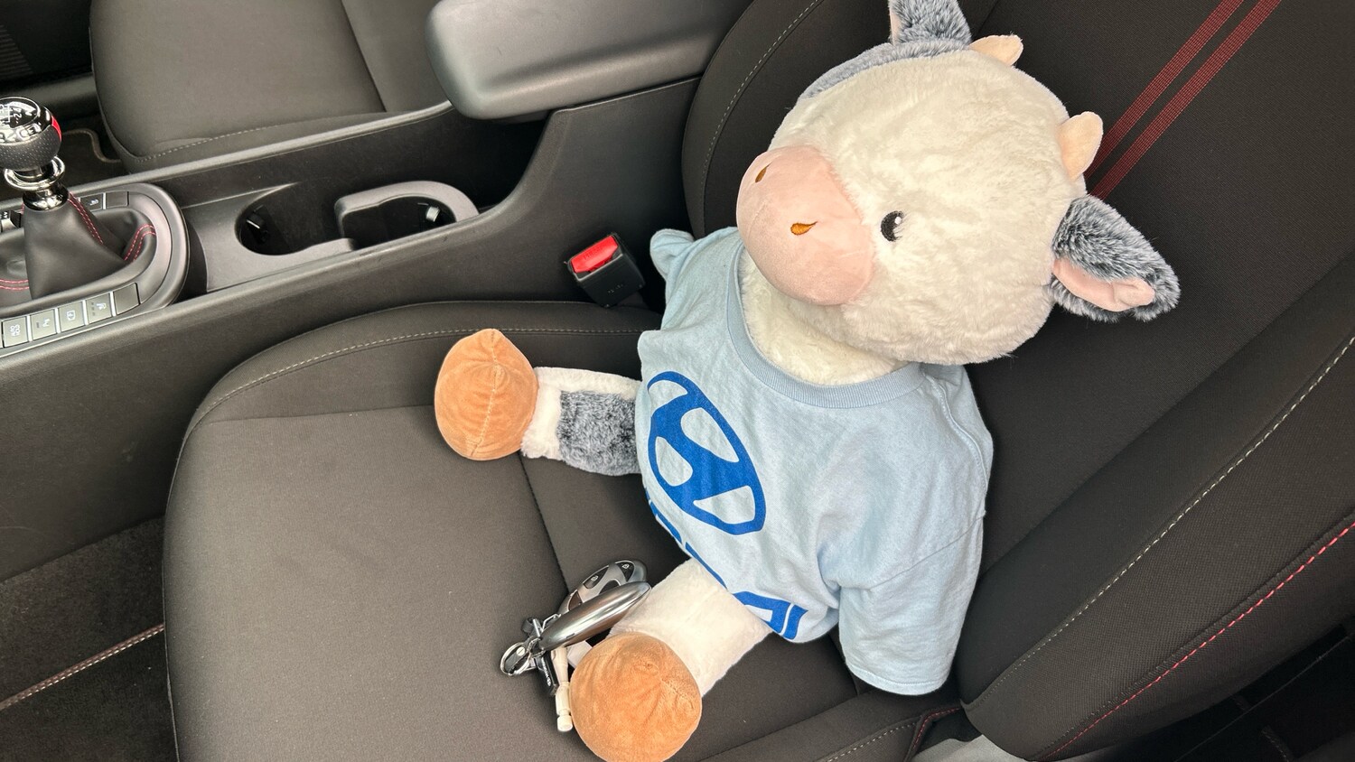 Used Hyundai KONA 2024 for sale - 77760494: Photo 20