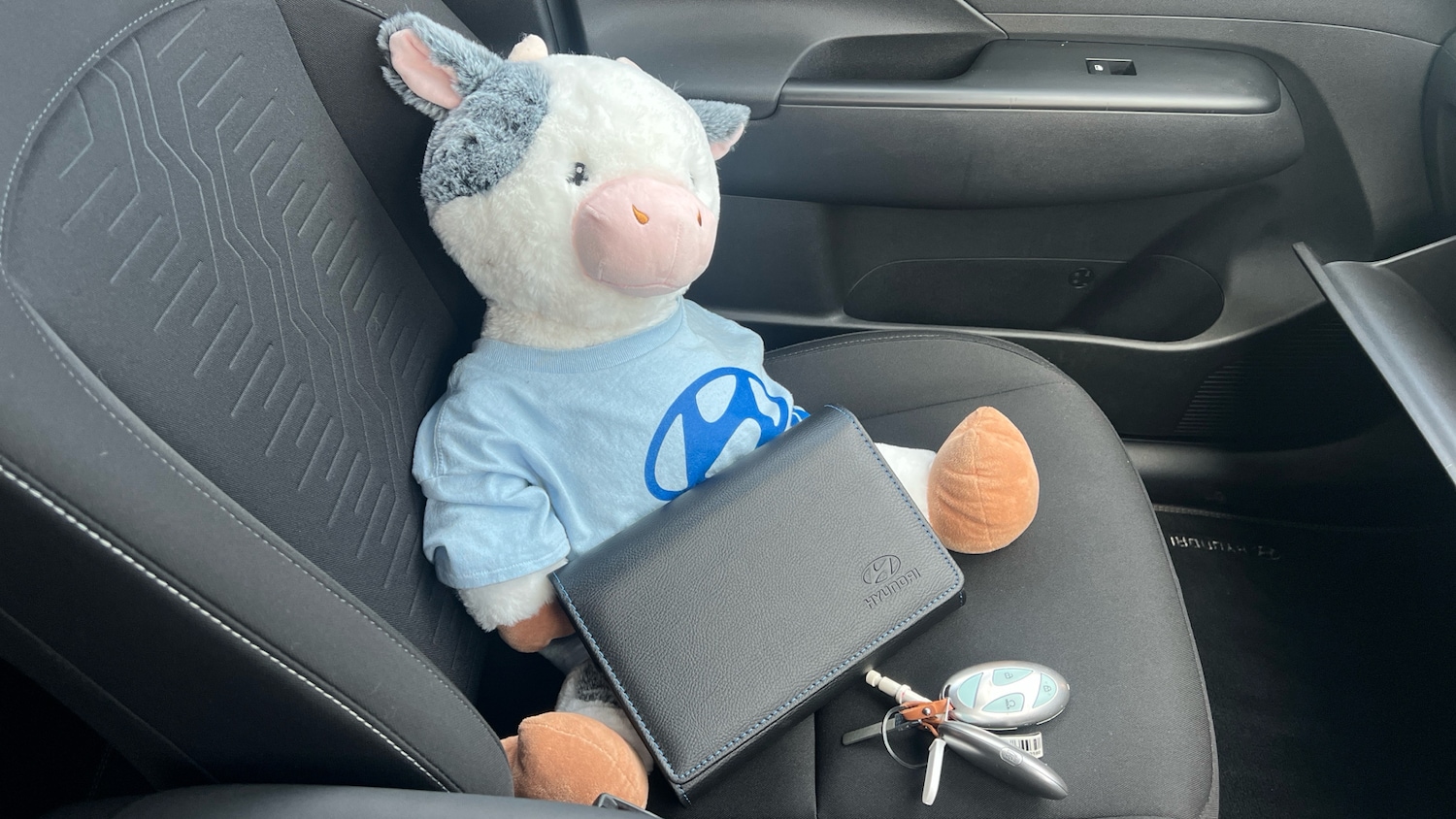 Used Hyundai KONA 2023 for sale - 77729725: Photo 19