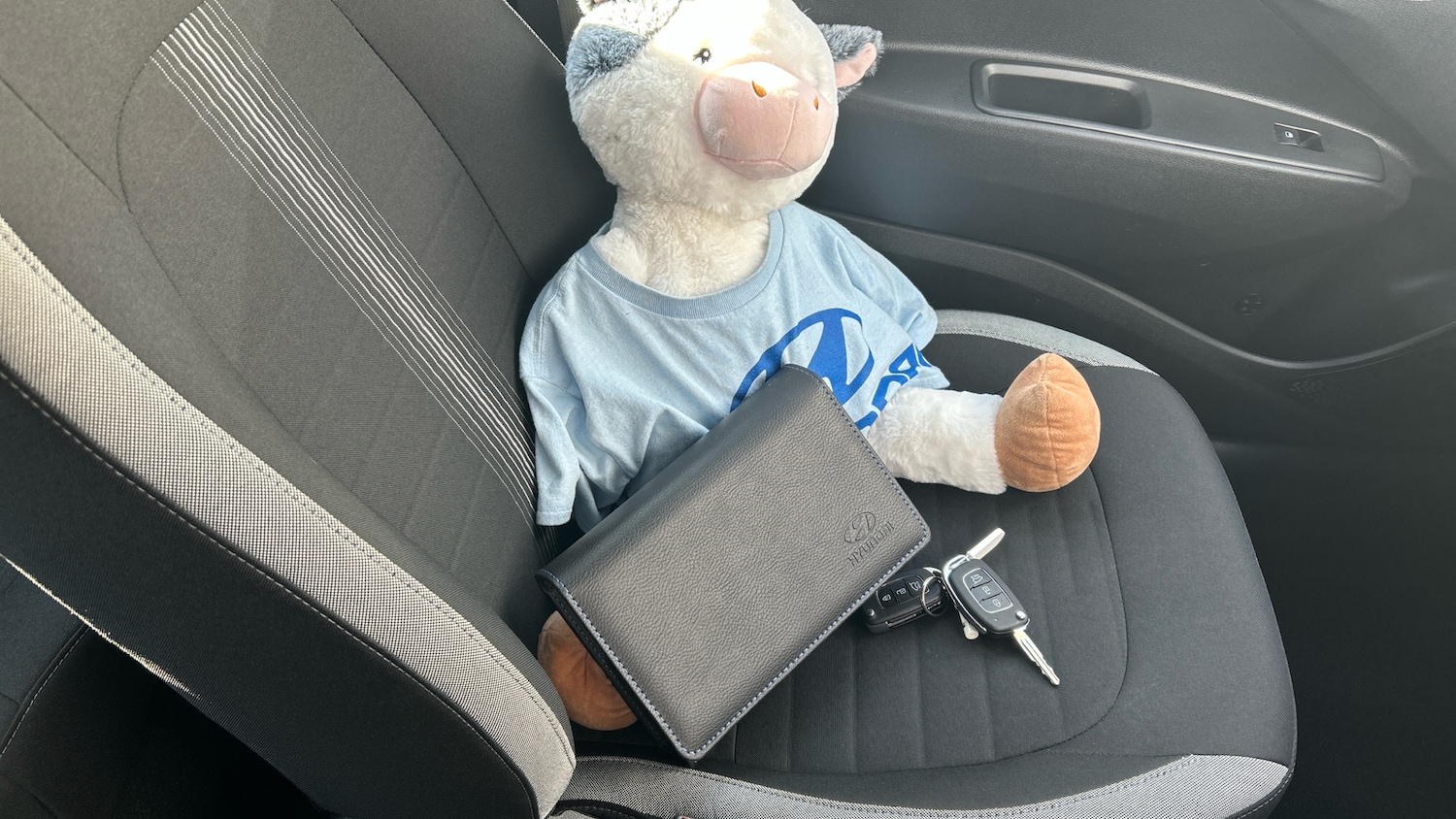 Used Hyundai i10 2024 for sale - 77871933: Photo 19