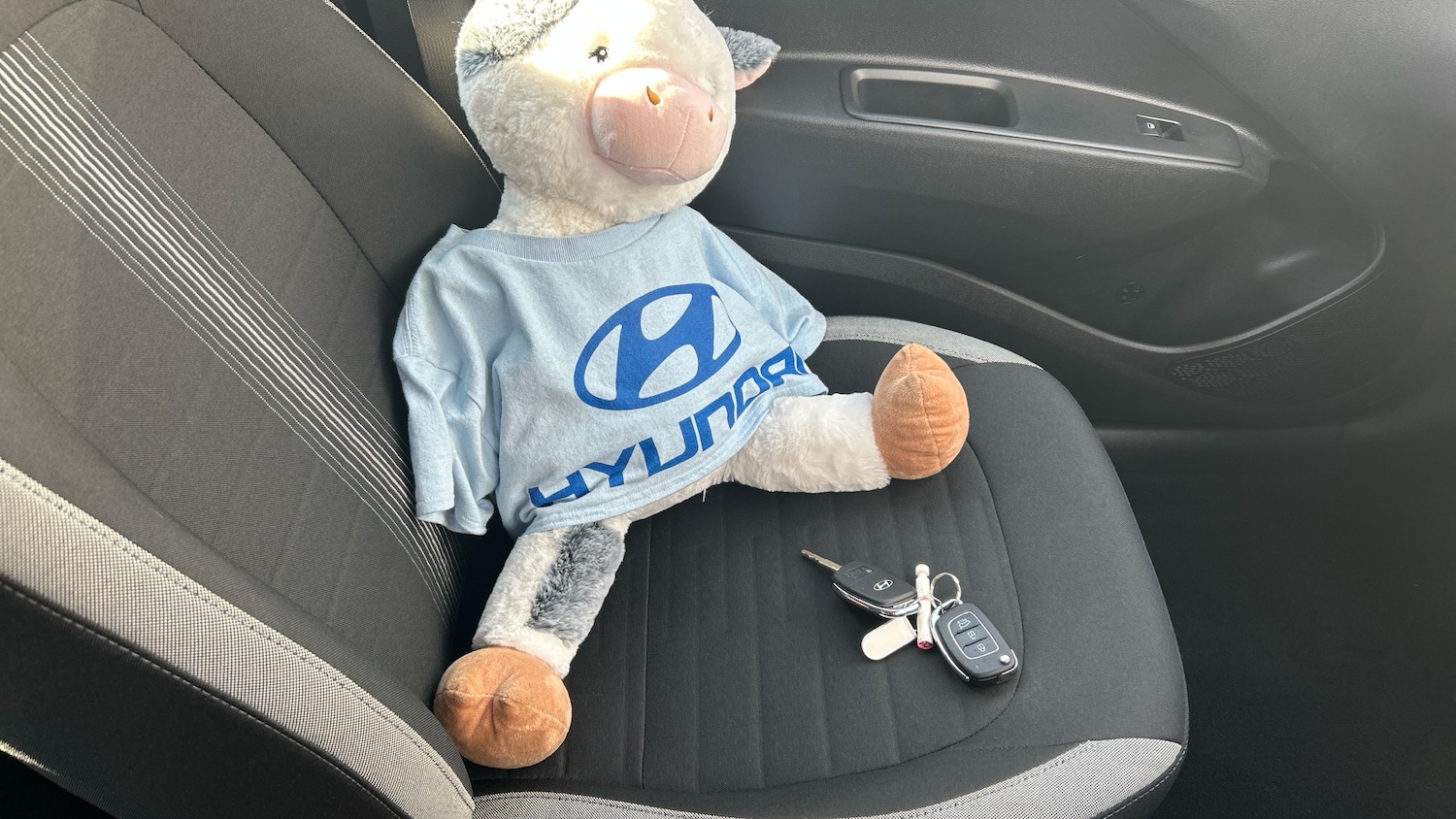 Used Hyundai i10 2024 for sale - 77871933: Photo 20