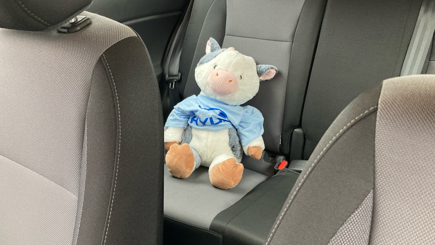 Used Hyundai i20 2019 for sale - 76222124: Photo 43