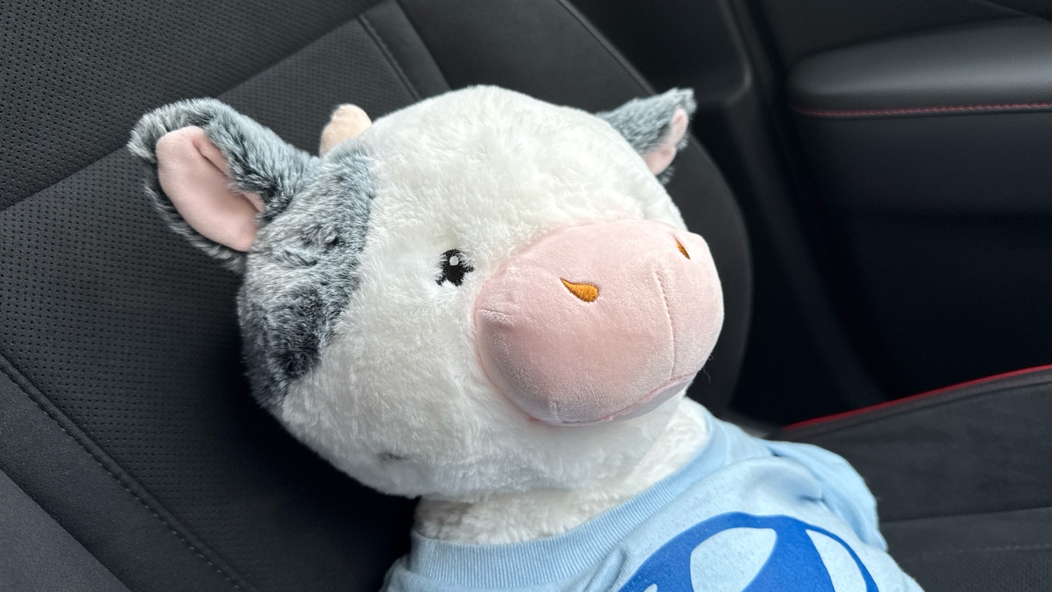 Used Hyundai TUCSON 2025 for sale - 77138472: Photo 33