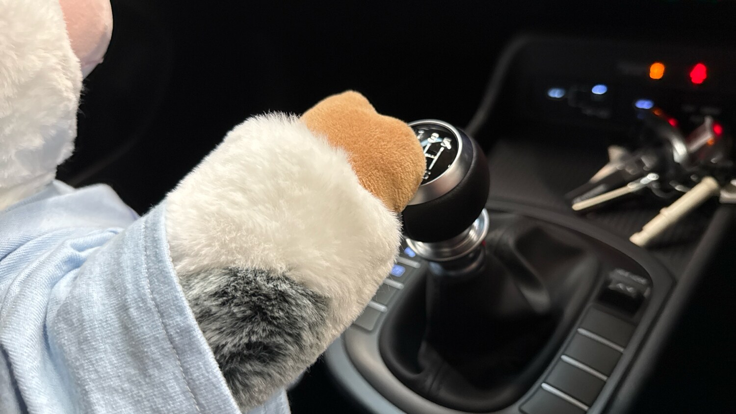 Used Hyundai KONA 2025 for sale - 76504428: Photo 13