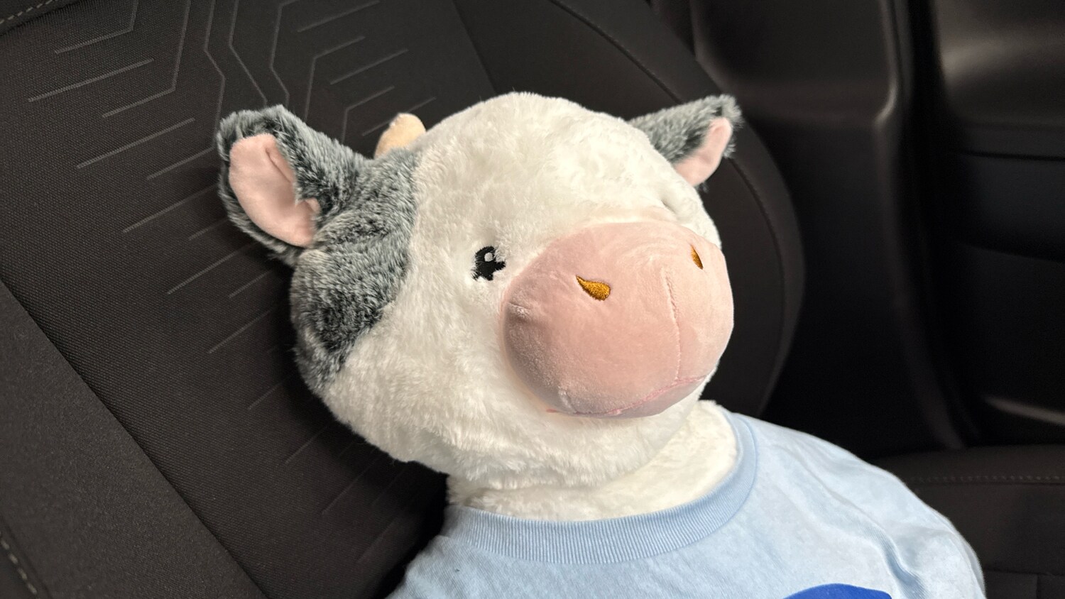 Used Hyundai KONA 2025 for sale - 76504428: Photo 31