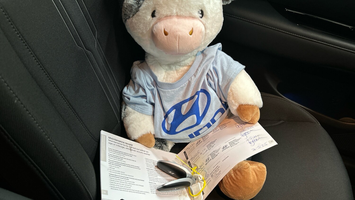 Used Hyundai TUCSON 2021 for sale - 76791751: Photo 19