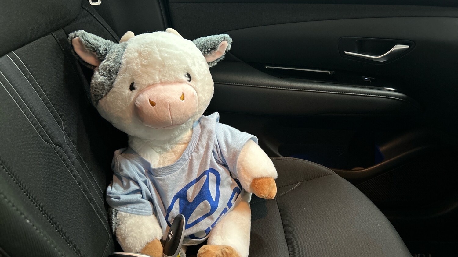 Used Hyundai TUCSON 2021 for sale - 76791751: Photo 36