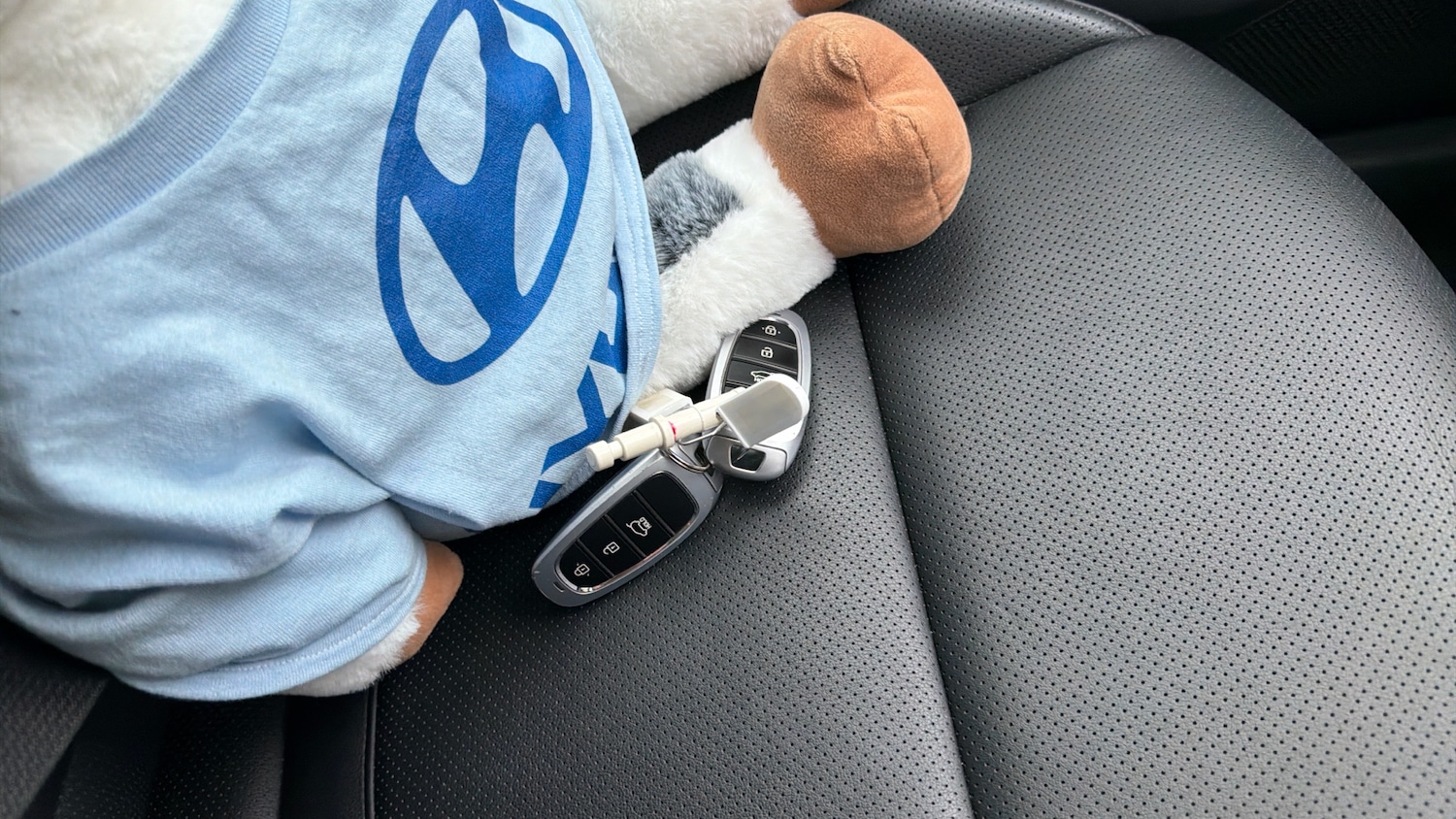 Used Hyundai TUCSON 2022 for sale - 76957372: Photo 20