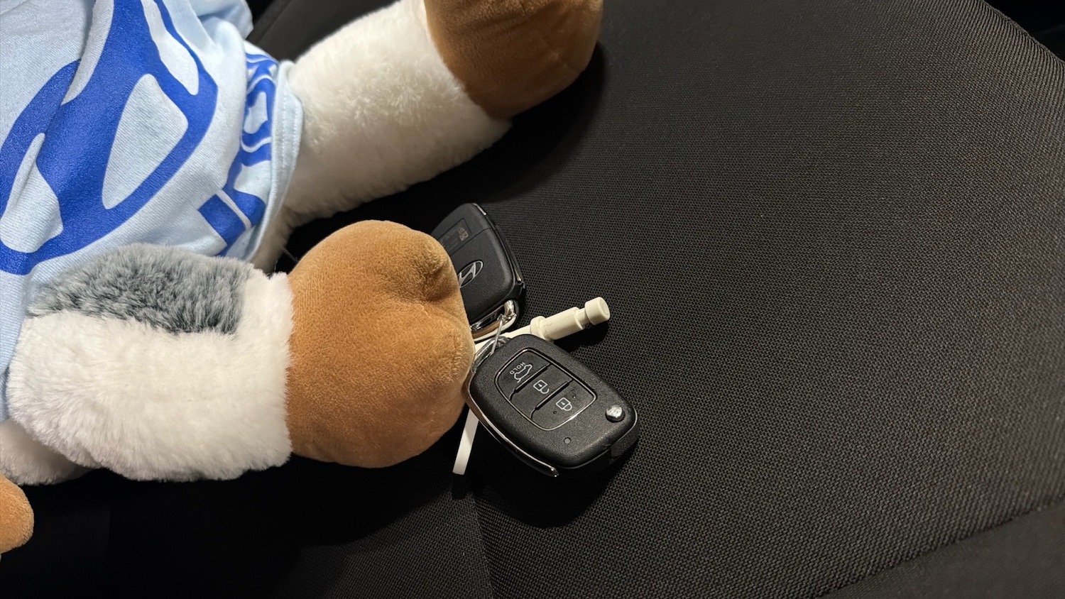 Used Hyundai i20 2025 for sale - 77581952: Photo 20