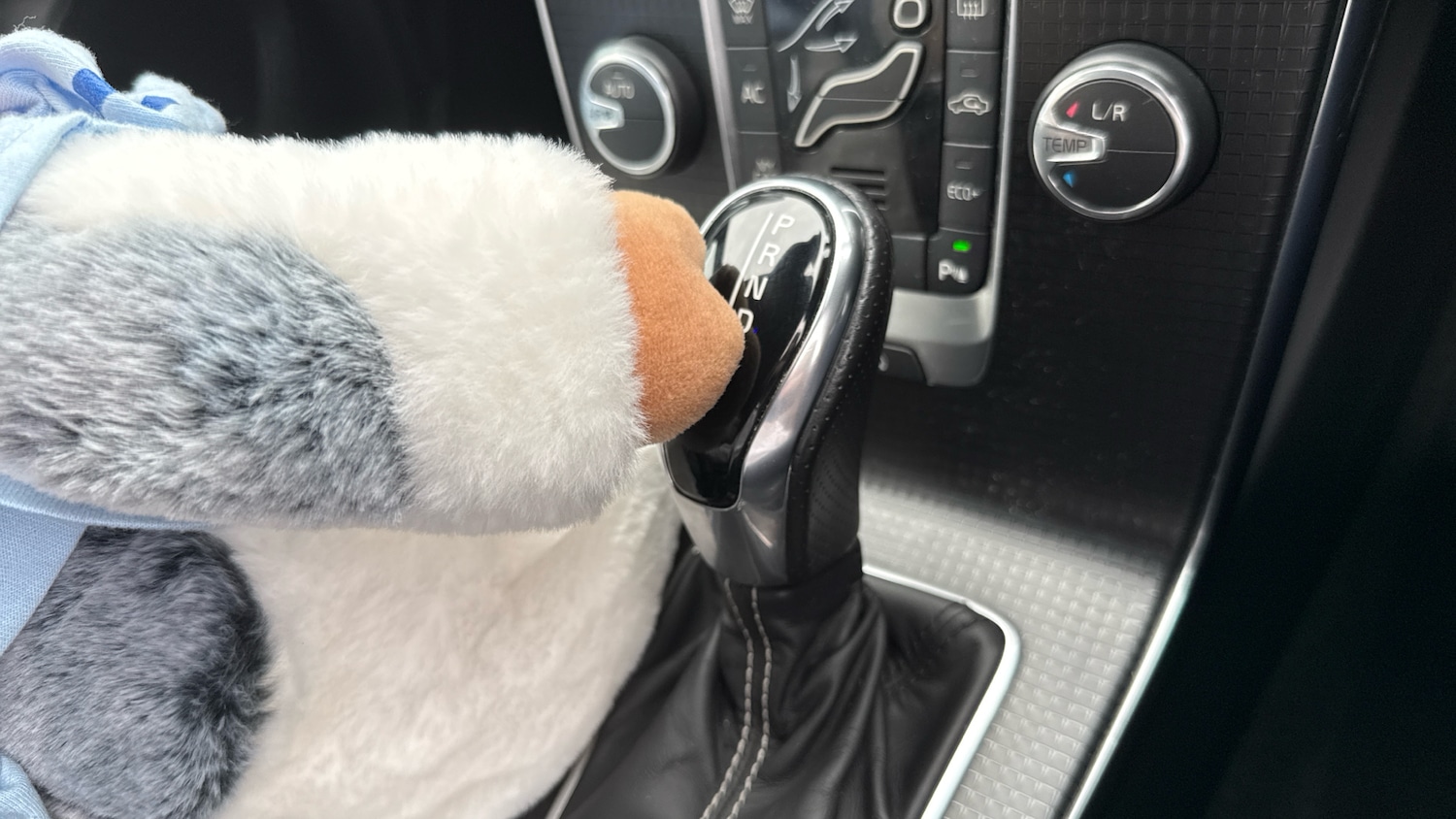 Used Volvo V40 2019 for sale - 76354927: Photo 13