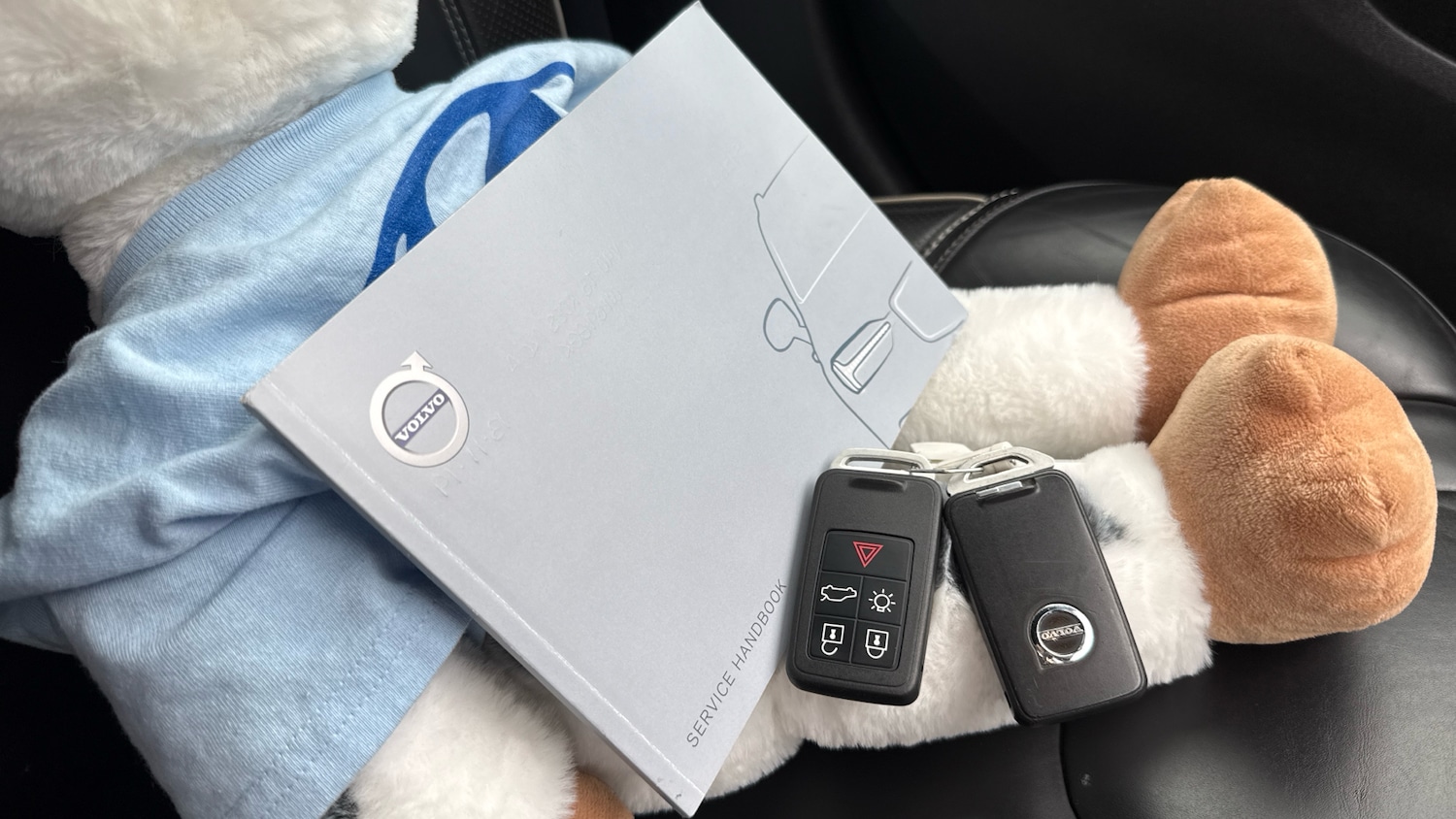 Used Volvo V40 2019 for sale - 76354927: Photo 19