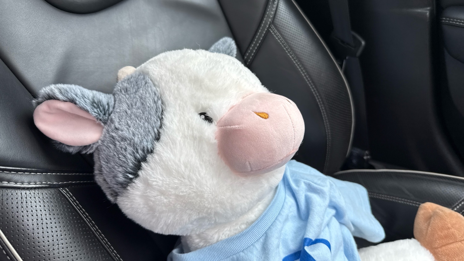 Used Volvo V40 2019 for sale - 76354927: Photo 37