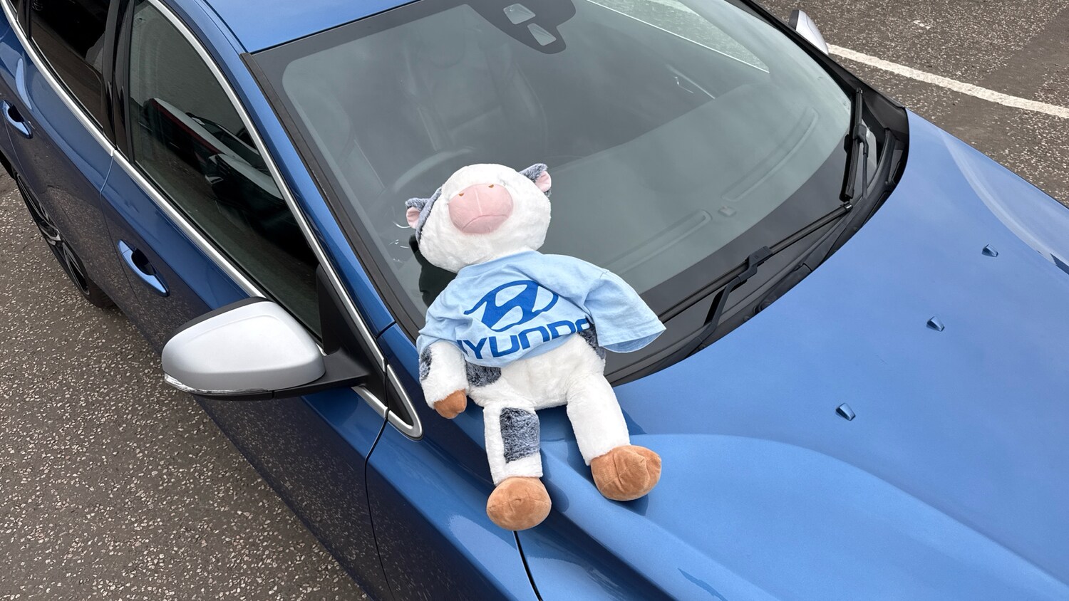 Used Volvo V40 2019 for sale - 76354927: Photo 42