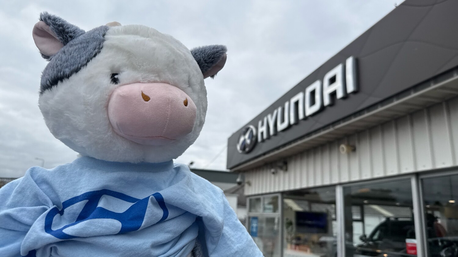 Used Volvo V40 2019 for sale - 76354927: Photo 44