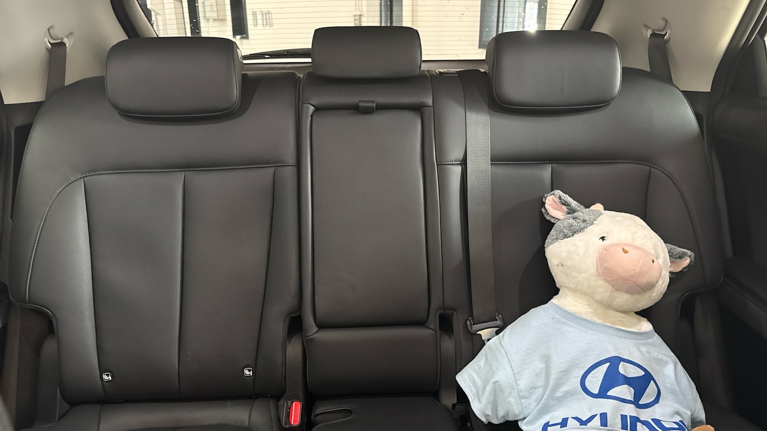 Used Hyundai IONIQ 5 2024 for sale - 77975370: Photo 15