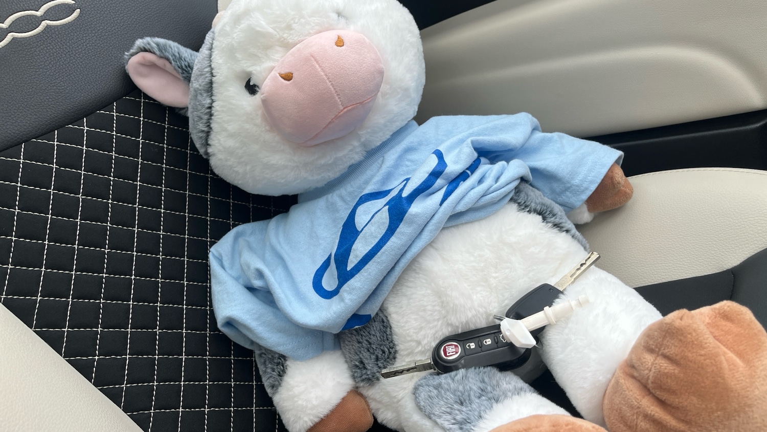 Used Fiat 500 2022 for sale - 76322467: Photo 20