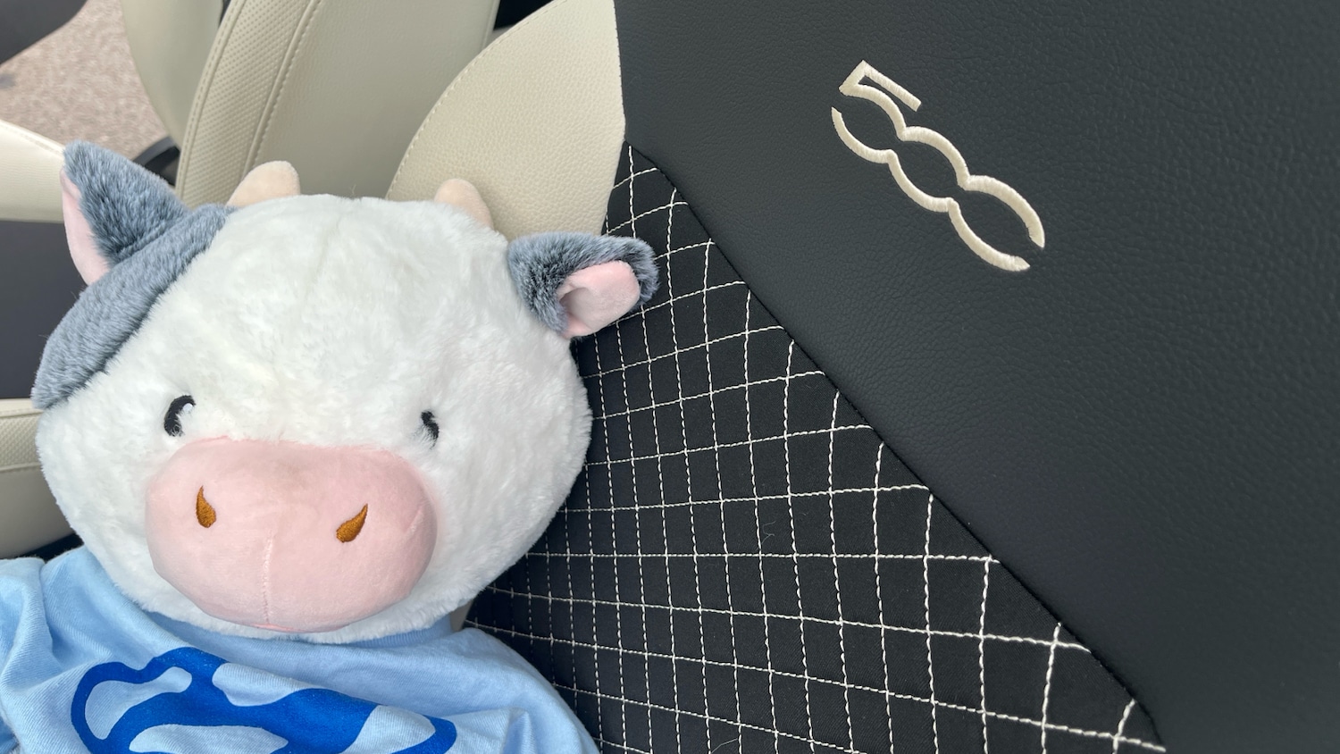 Used Fiat 500 2022 for sale - 76322467: Photo 32