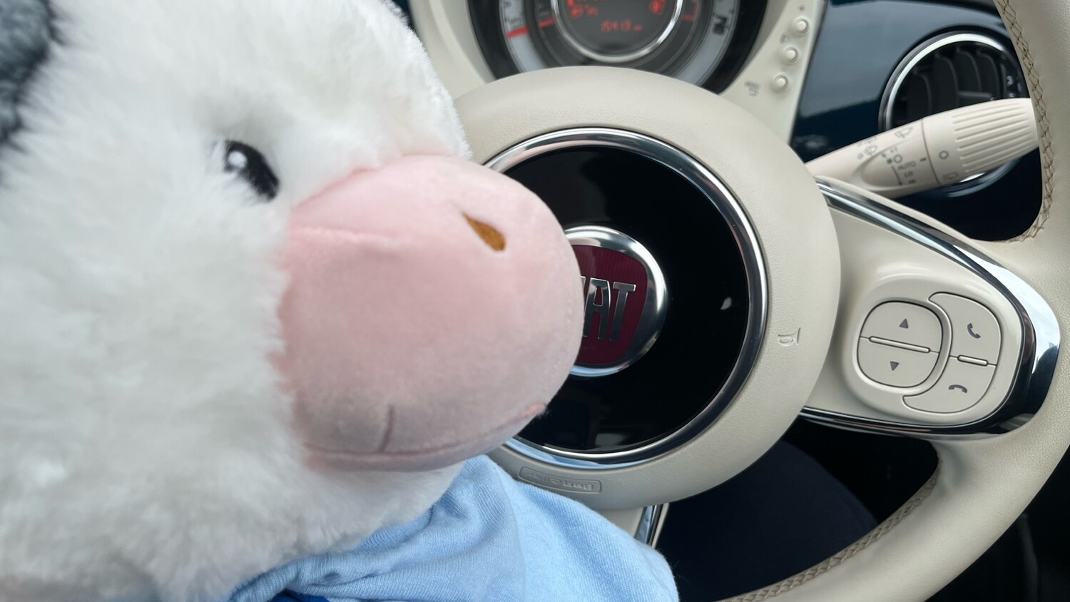 Used Fiat 500 2022 for sale - 76322467: Photo 41