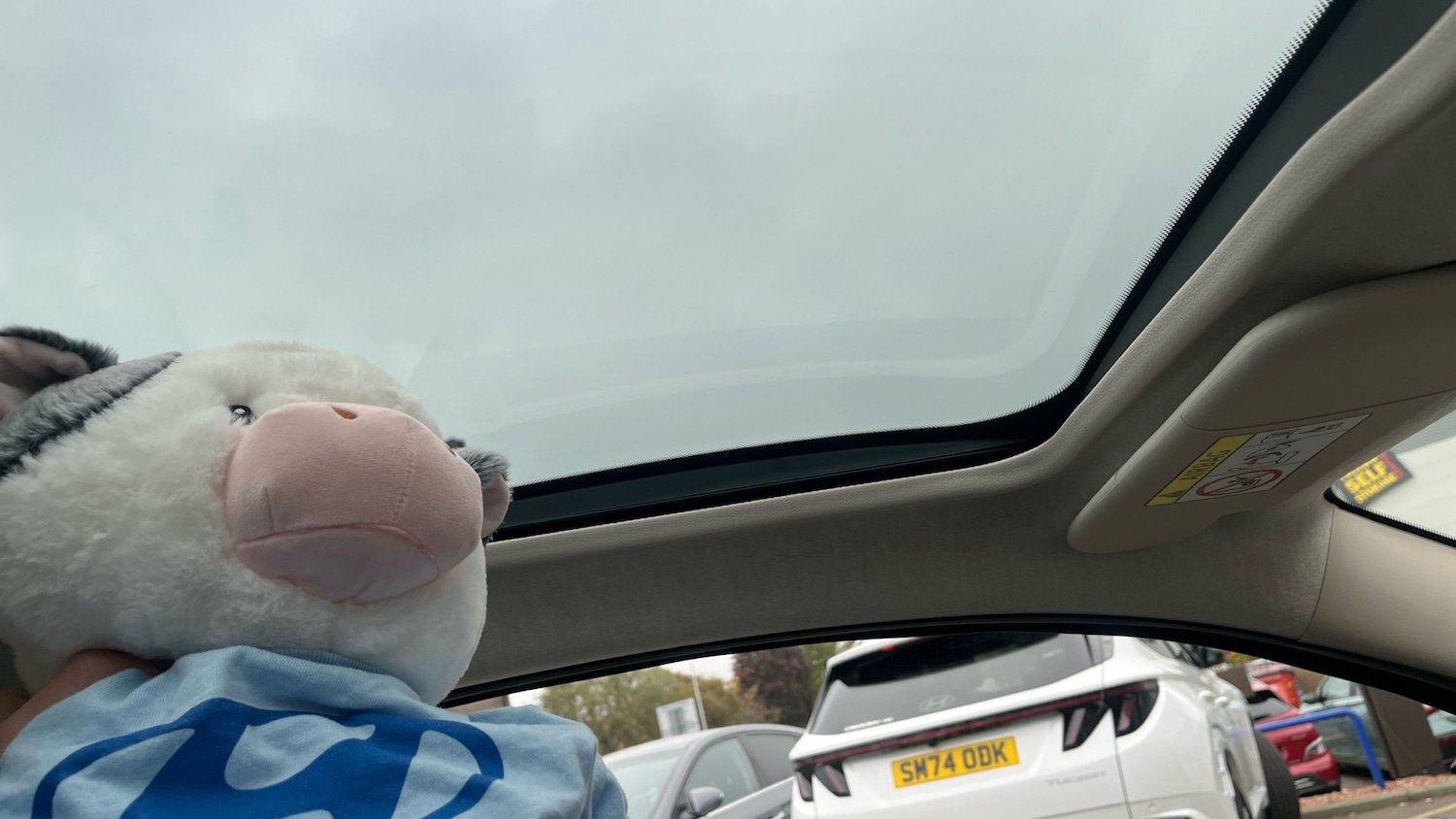 Used Fiat 500 2022 for sale - 76322467: Photo 42