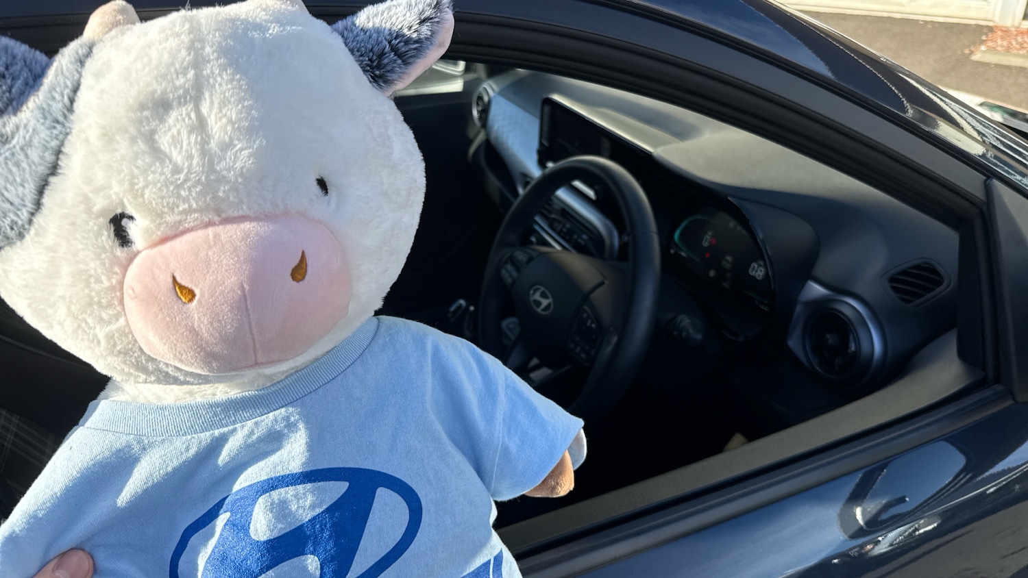 Used Hyundai i10 2024 for sale - 76413259: Photo 44