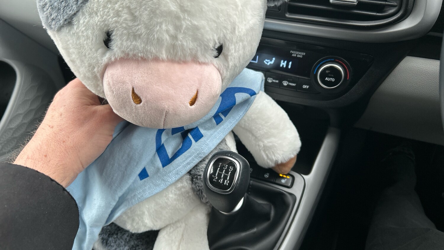 Used Hyundai i10 2022 for sale - 77591274: Photo 22