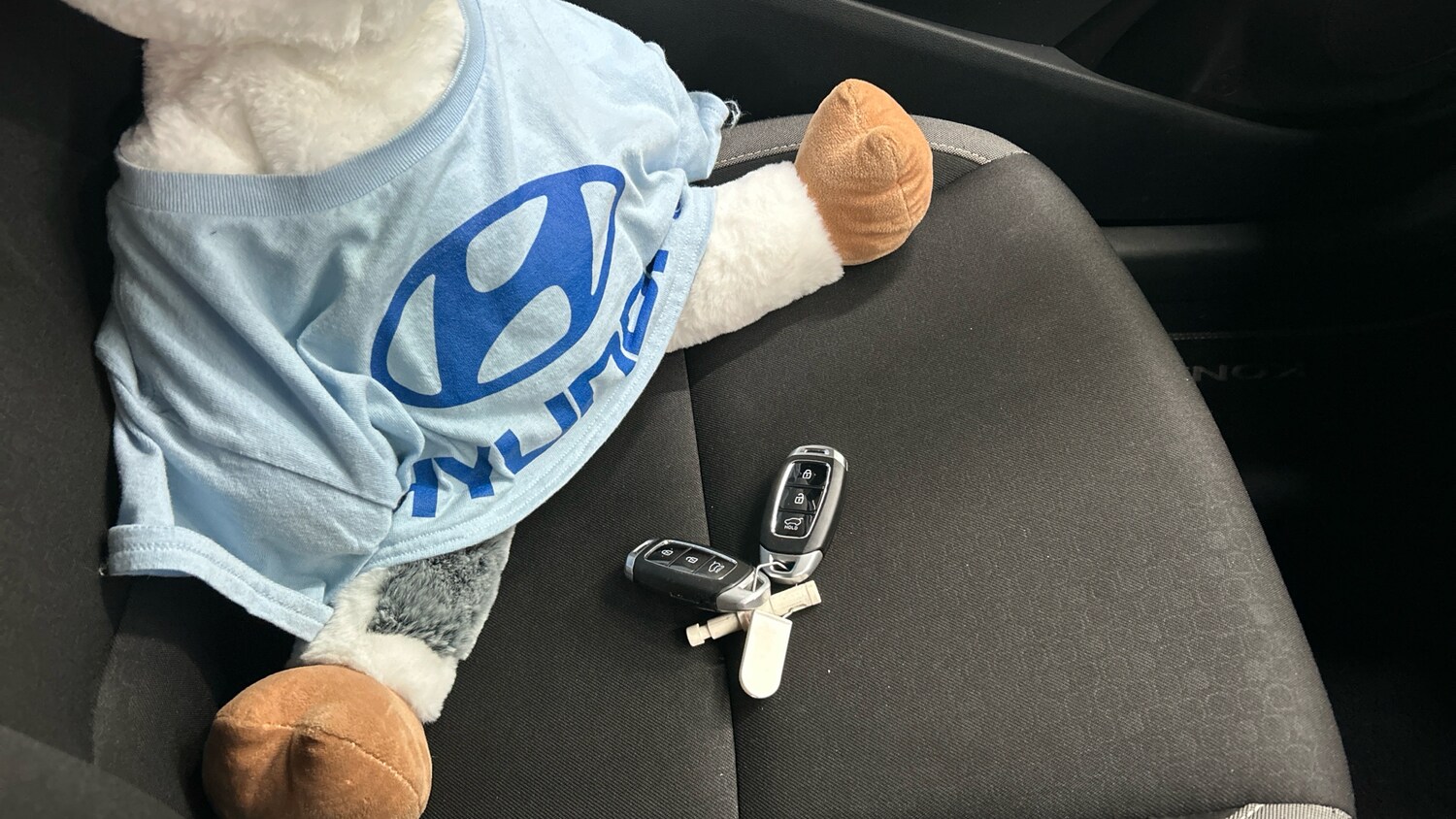 Used Hyundai KONA 2020 for sale - 77528509: Photo 20