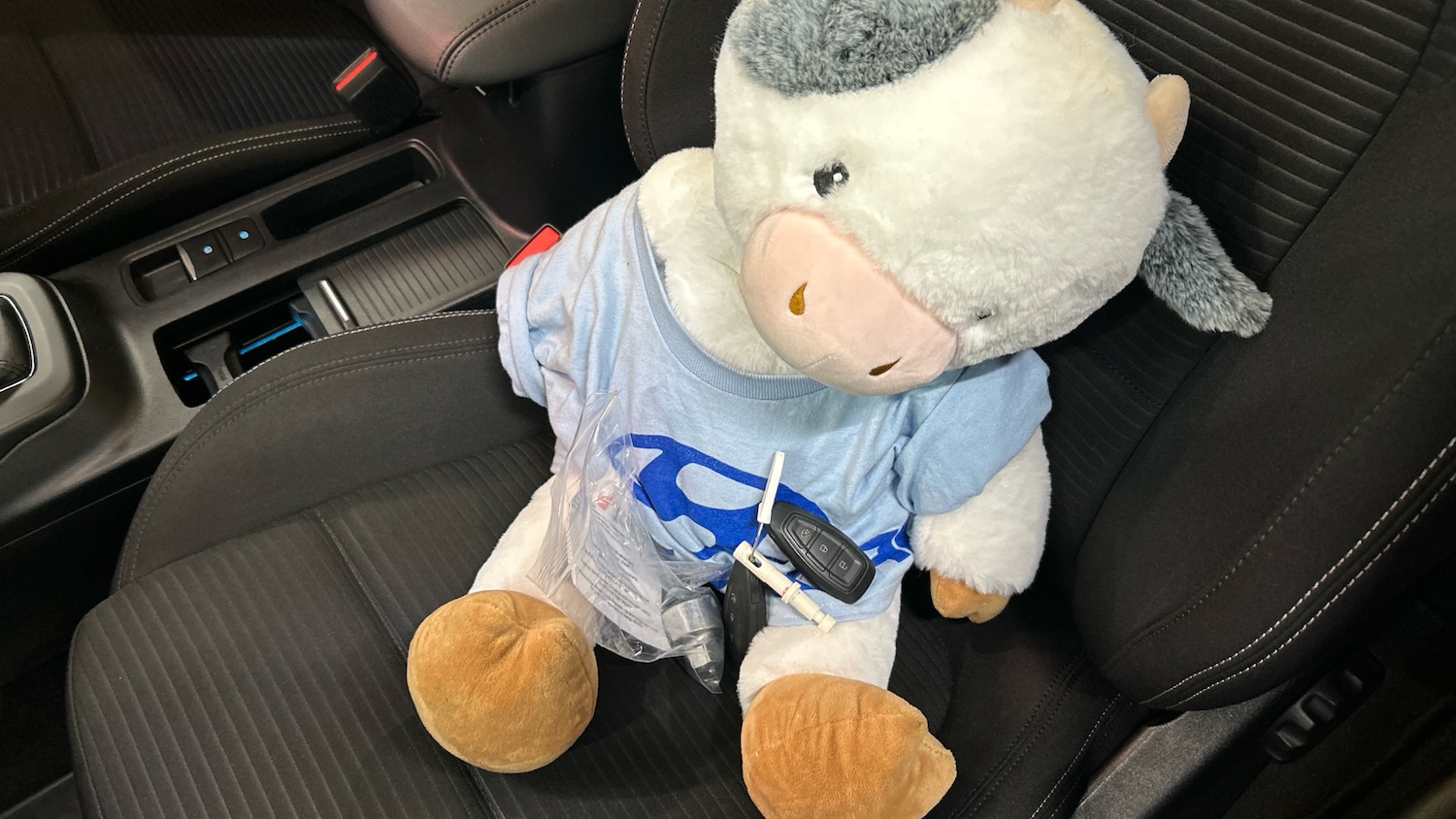 Used Ford Focus 2022 for sale - 77159381: Photo 19