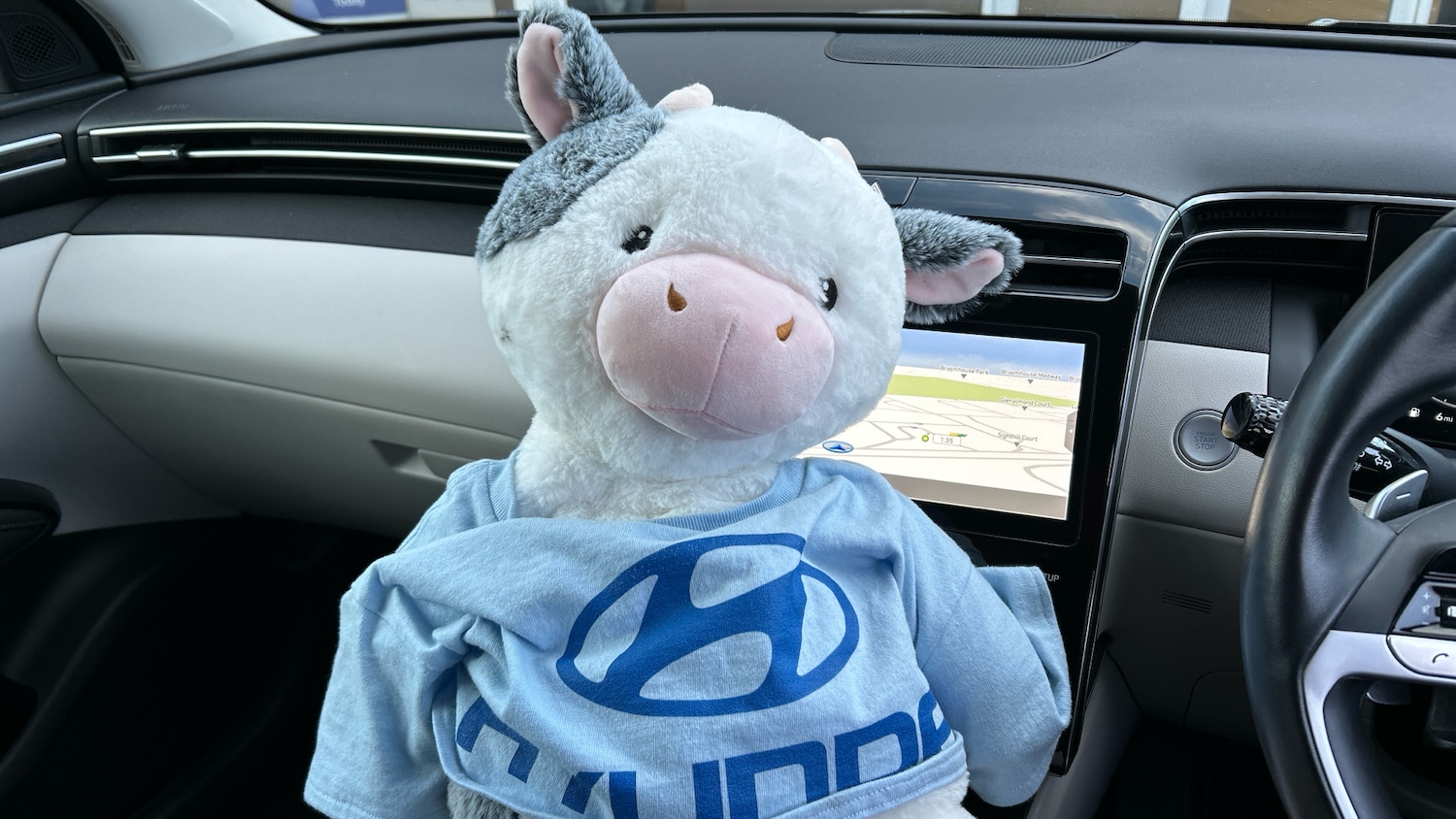 Used Hyundai TUCSON 2022 for sale - 76905960: Photo 28