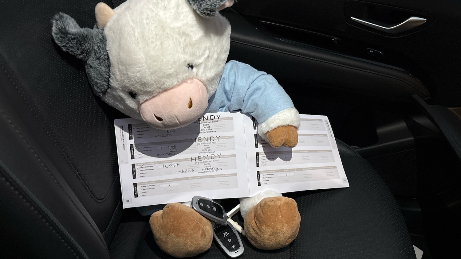 Used Hyundai TUCSON 2022 for sale - 76465995: Photo 19