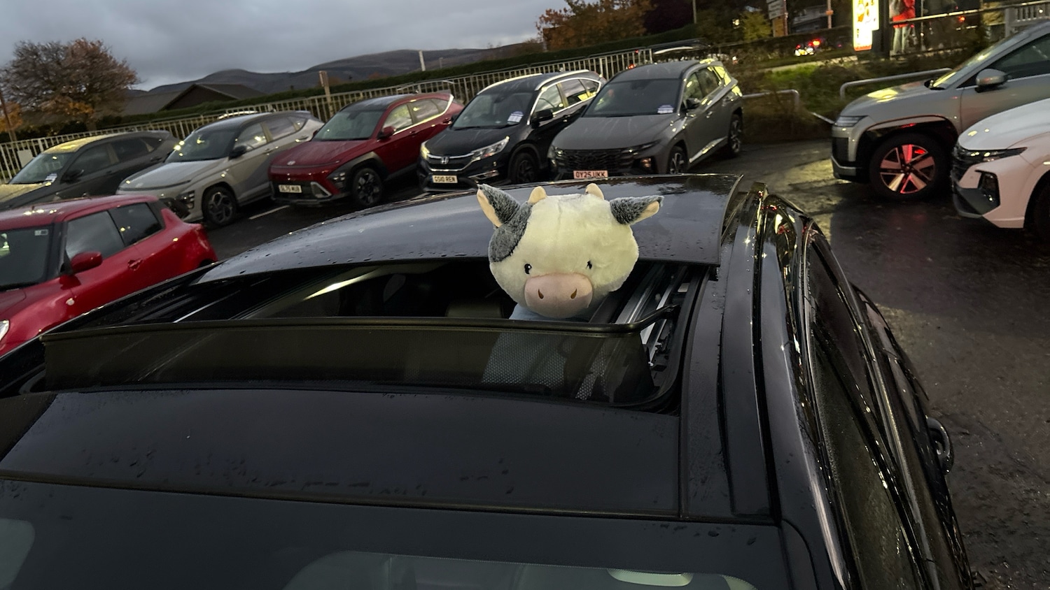 Used Hyundai TUCSON 2022 for sale - 76465995: Photo 37