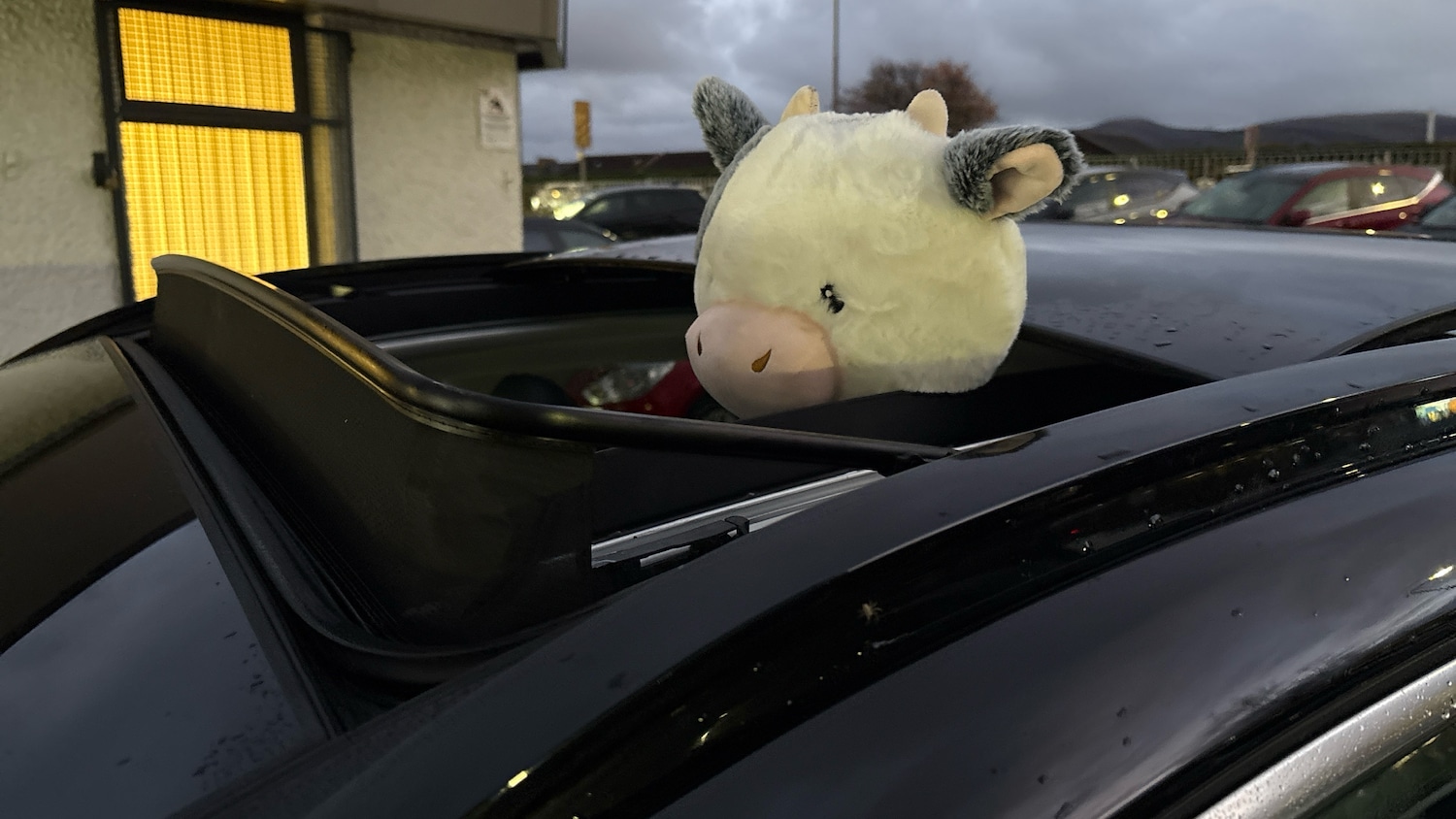 Used Hyundai TUCSON 2022 for sale - 76465995: Photo 38