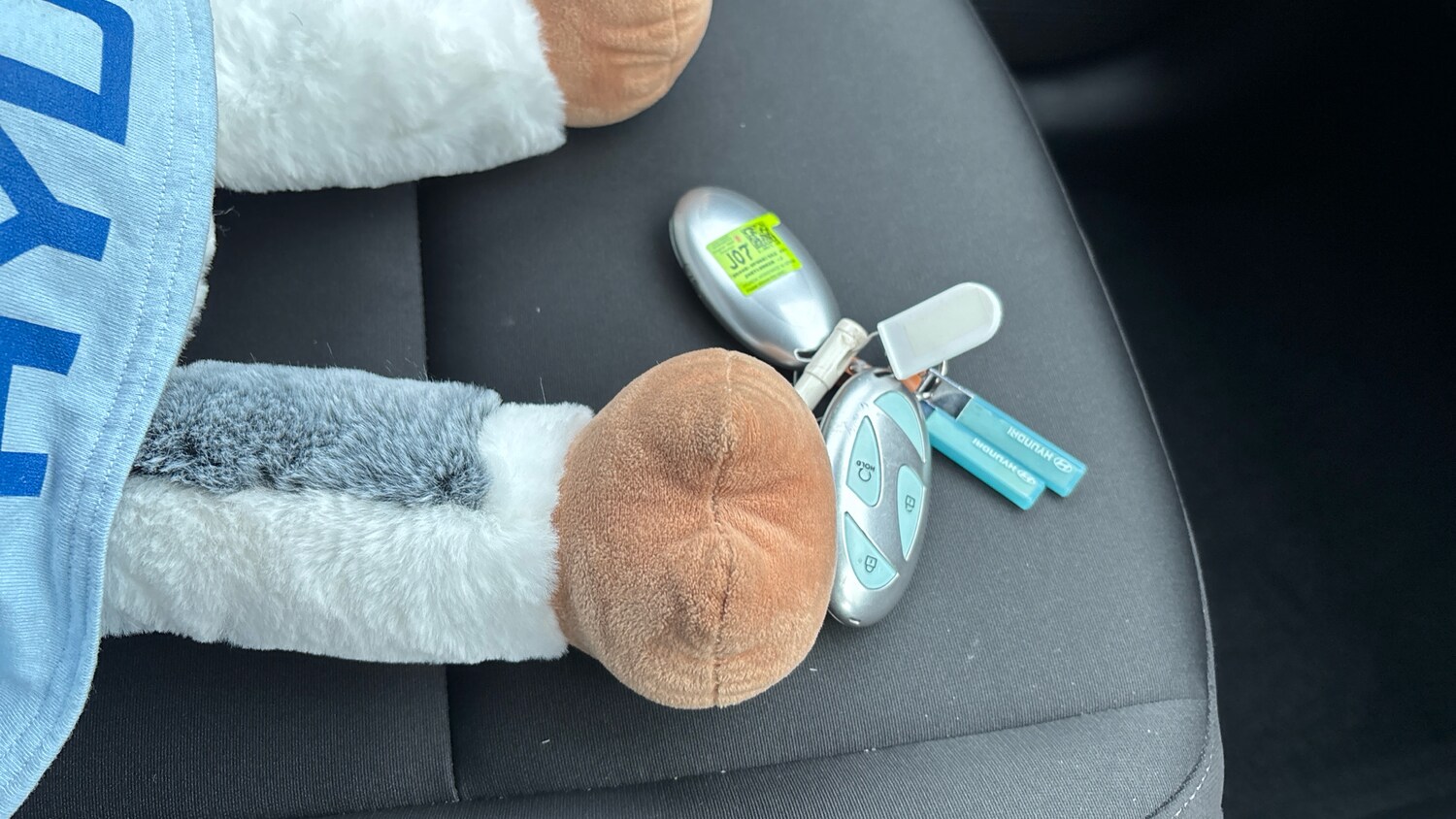 Used Hyundai KONA 2025 for sale - 77581955: Photo 19