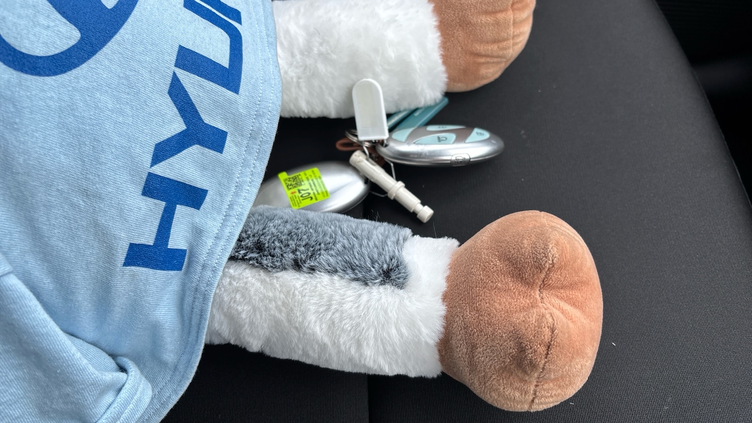 Used Hyundai KONA 2025 for sale - 77581955: Photo 20