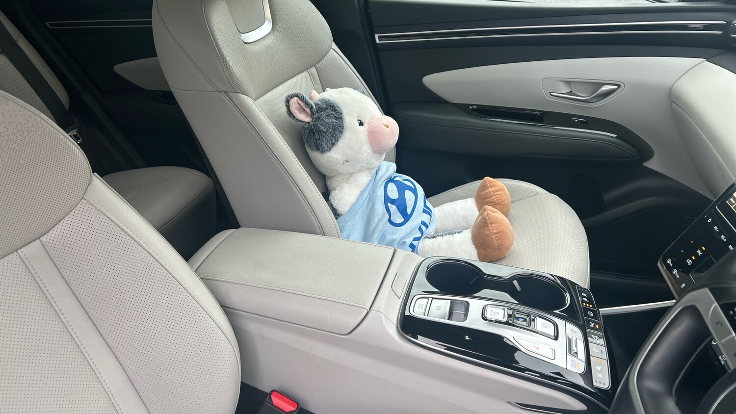 Used Hyundai TUCSON 2023 for sale - 77640002: Photo 31