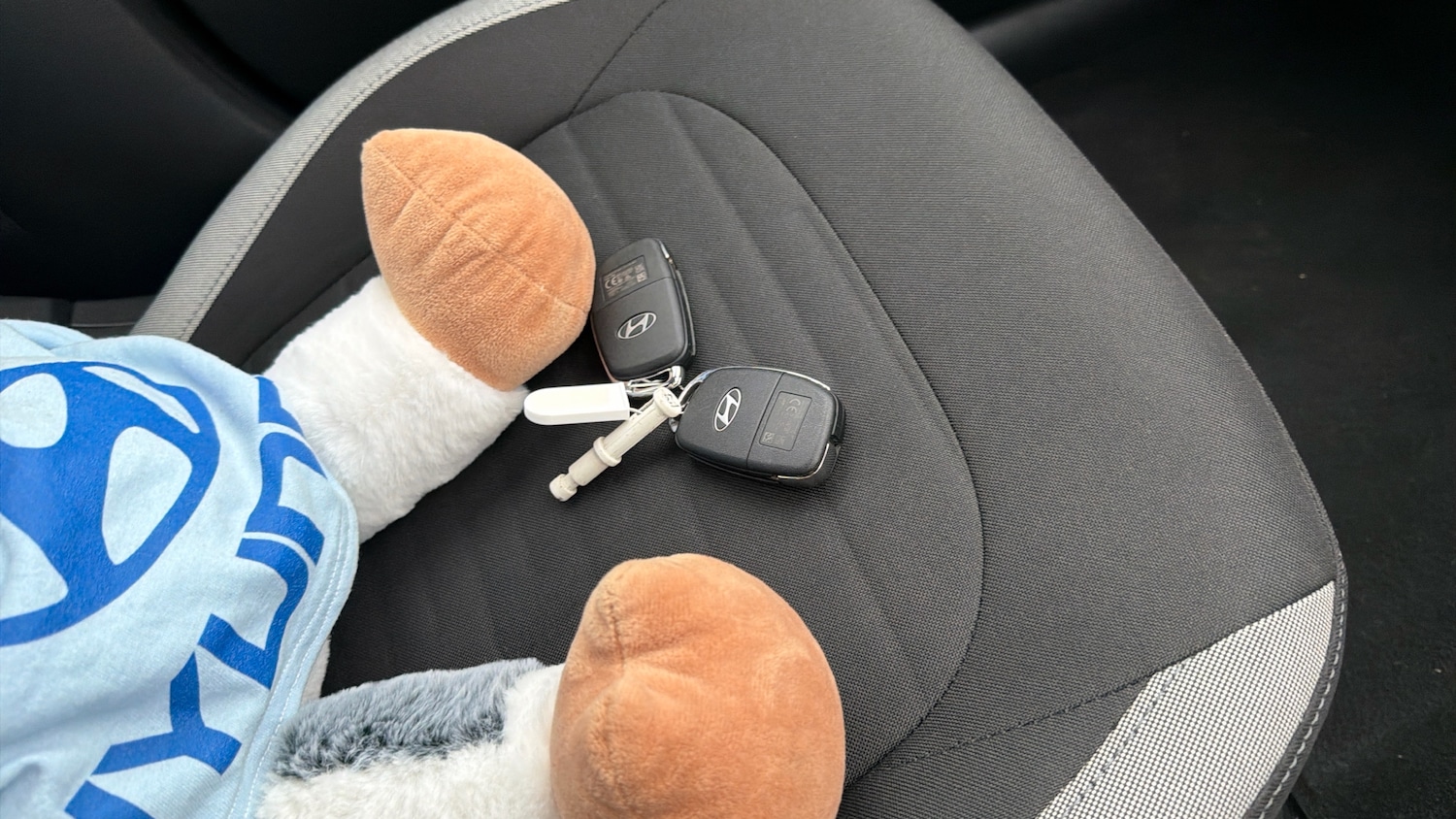 Used Hyundai i10 2025 for sale - 77138471: Photo 20