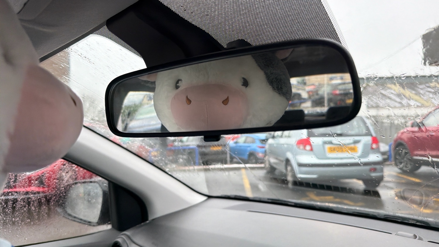 Used Hyundai i10 2025 for sale - 77138471: Photo 44