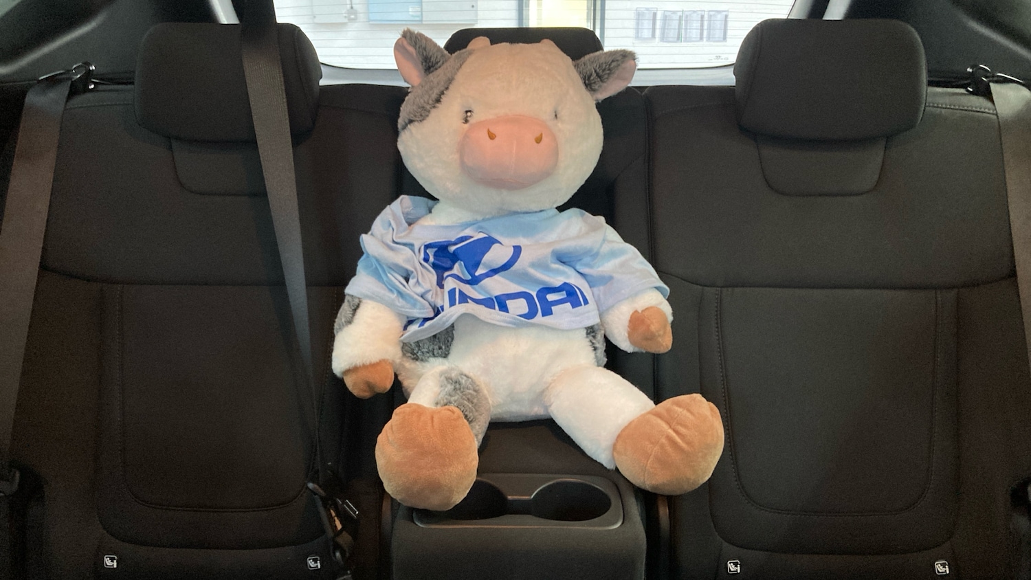 Used Hyundai TUCSON 2021 for sale - 76322465: Photo 42