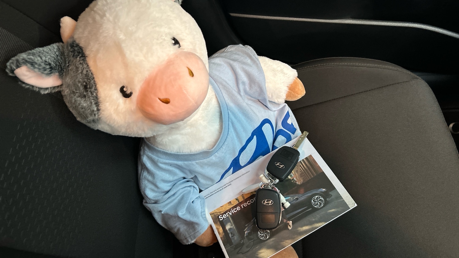 Used Hyundai i20 2023 for sale - 76719234: Photo 19